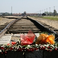 Am 27. Jänner 2022 jährt sich die Befreiung des nationalsozialistischen Konzentrations- und Vernichtungslagers Auschwitz durch die Rote Armee zum 77. Mal. 