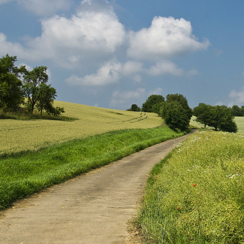 Den Weg gehen