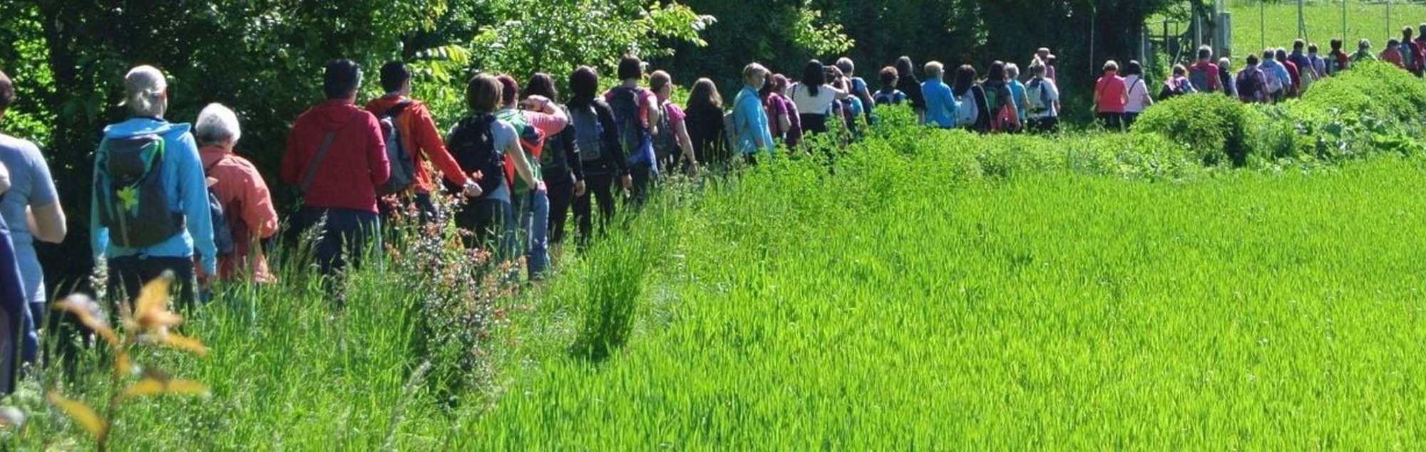 Pilgernde Frauen