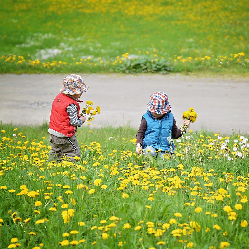 Blumenpflücken