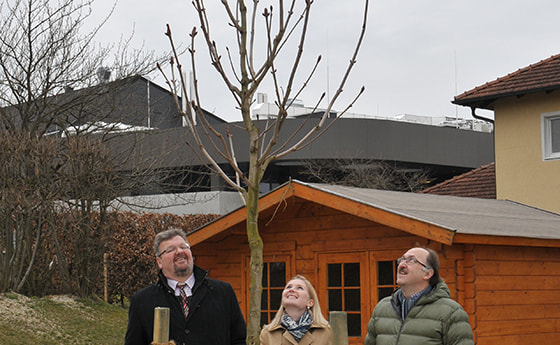 Ein Kastanienbaum für den Pfarrcaritas-Kindergarten St. Marien