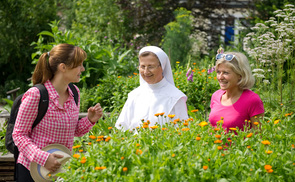 Kräutergarten in Bad Mühllacken.