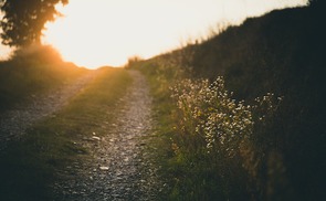 Gemeinsam mit Katharina den Weg gehen.