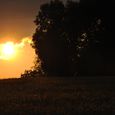 Abendstimmung - Herr, nun lässest Du...