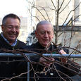 Weinbauer Johann Polczer und Bischof Ludwig Schwarz schneiden die Weinstöcke vor der Diözesanen Immobilienstiftung auf dem Linzer Domplatz.
