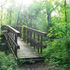 Brücke im Wald. © Grafixar/morguefile.com