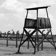 Auschwitz Birkenau