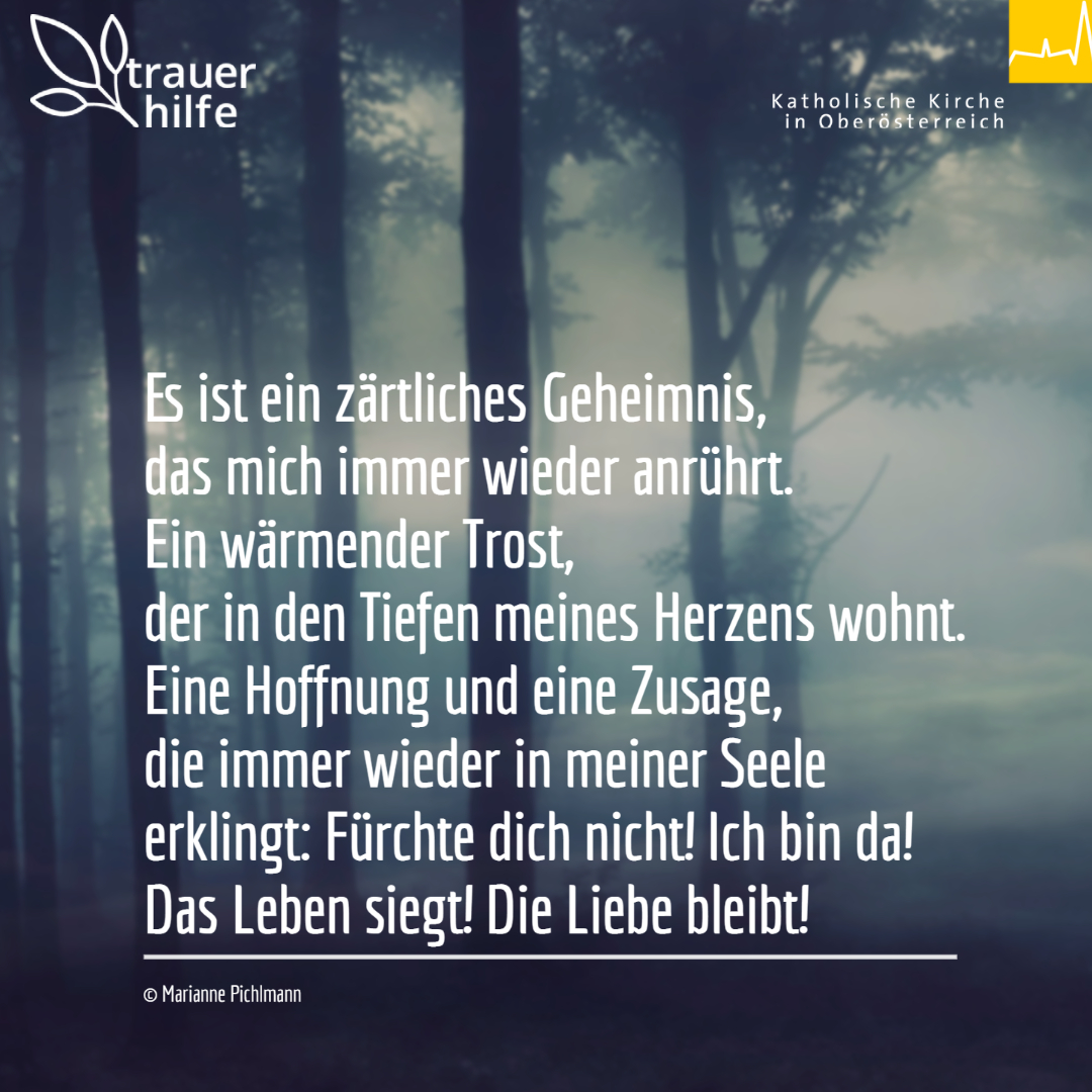 Ein zärtliches Geheimnis / Marianne Pichlmann Ein zärtliches Geheimnis