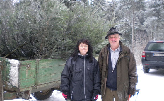 Margit Magauer und Franz Wögerbauer beim 'ernten' der Christbäume                      