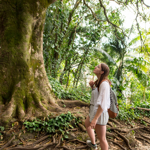 Heidewald Schieferegg - Umweltarbeit in der Diözese Linz