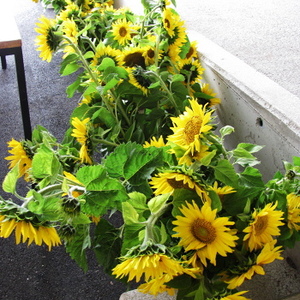 Erntedank und Willkommensfest 2012