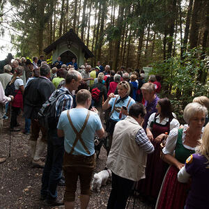 1. Schallerbacher Musiroas