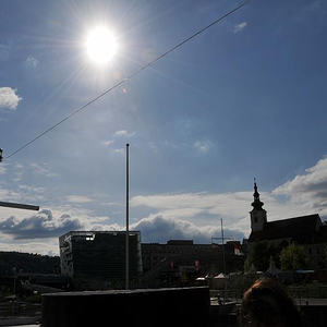 Firmprojekt Hochbeet