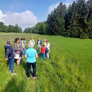 Essbare Frühlingswiese