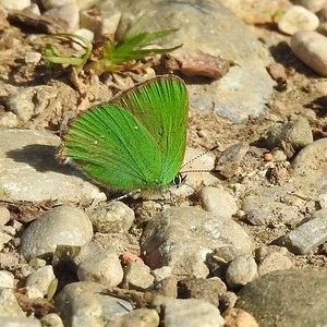 Heidewald Schieferegg - Umweltarbeit in der Diözese Linz