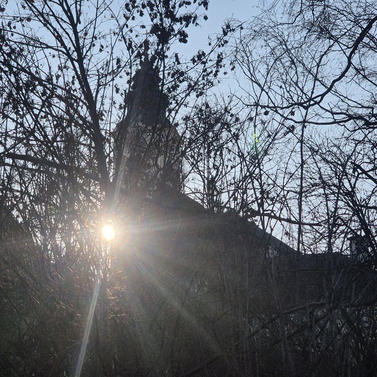 Sonntagsblatt / ©Bild für die Pfarrgemeinde Eferding/Ingrid Neundlinger