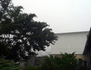 Grünanlage Friedhof