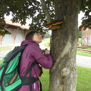 Ökum. Pilgerwanderung