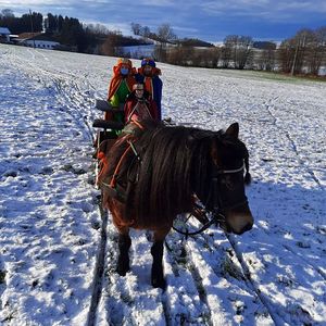 Sternsingen aber sicher!