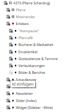 Widget erstellen / © Diözese Linz Kommunikationsbüro Widget erstellen