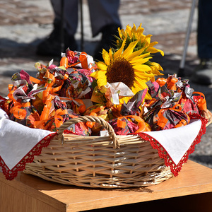 Fußwallfahrt der Pfarre Heilige Familie Wels nach Maria Fallsbach