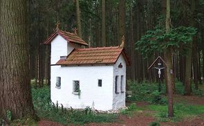 Nicht nur Kirchen im Wald bieten Abkühlung