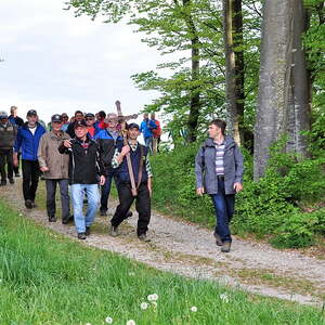 am Weg zum Stierlingerwald