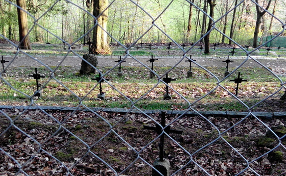 Kriegerfriedhof Linz Petrinum durch einen Zaun betrachtet. 
