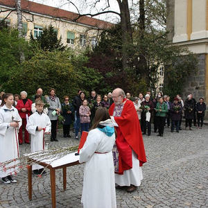 Palmsonntag in St. Quirinus