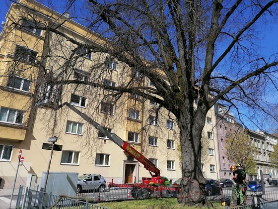 April 2022 - Fa. BAUM.ART