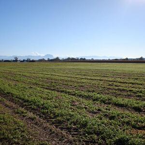 Gunskirchener Pilgertag 2022