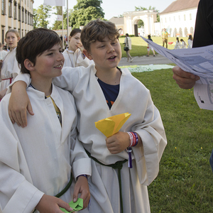 Minis in St. Florian