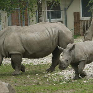 Kinderausflug Schmiding