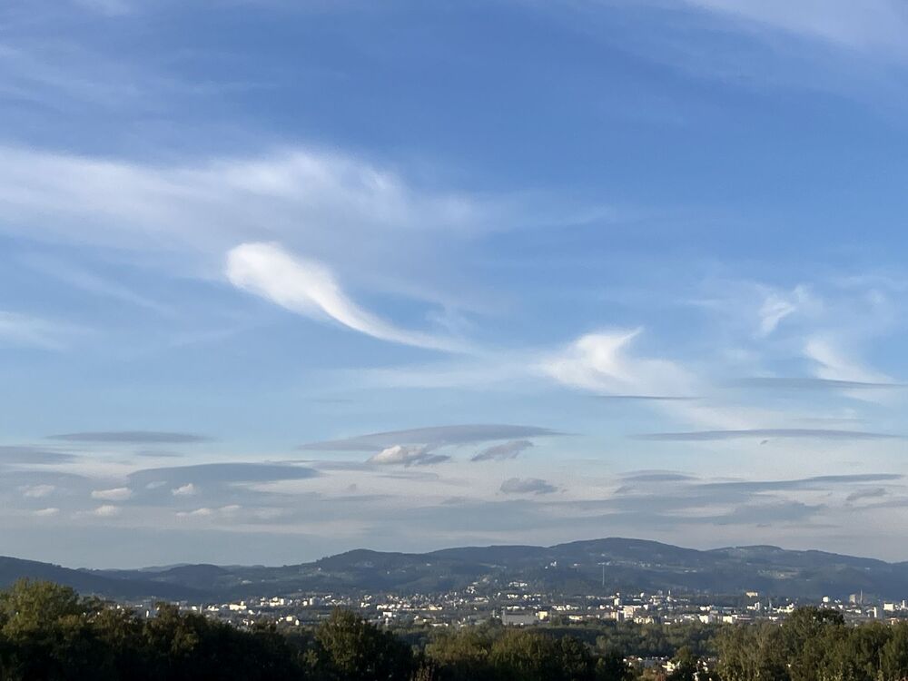 Weitblick