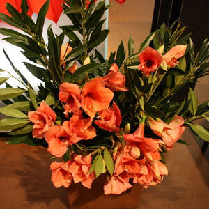 Gottesdienst zum Valentinstag