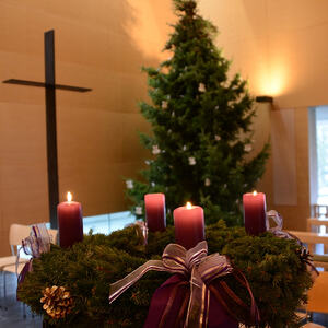 'Barmherzigkeit - gut mit der Schöpfung umgehen'