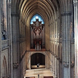 Führung im Mariendom - Hoch hinaus