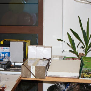 Almrausch am Froschberg