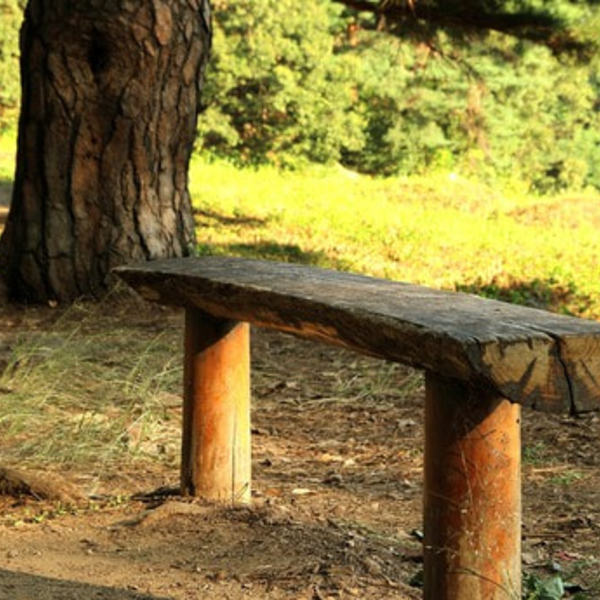 Freier Sonntag, Spaziergang...