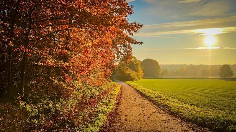Oktober voll.bunt