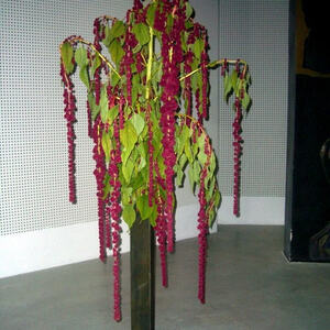 Erntedankfest mit Krönungsmesse