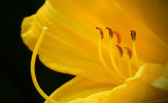 In der Hoffnung liegt die Kraft