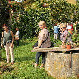 Ausflug der kfb 2014