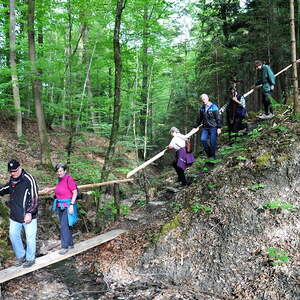 im Stierlingerwald, Gem. Bürmoos