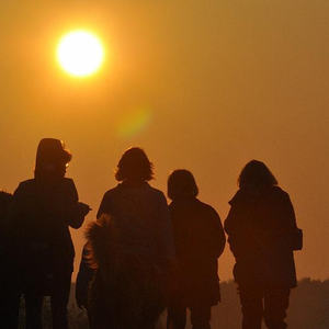 Emmausgang in den Ebelsberger-Traunauen