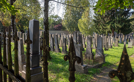 Jüdischer Friedhof Linz / © Clemens Frauscher / St. Barbara Friedhof Jüdischer Friedhof Linz