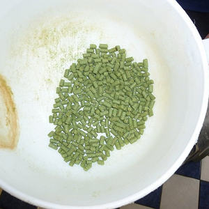 Bierbrauen bei ThorBräu