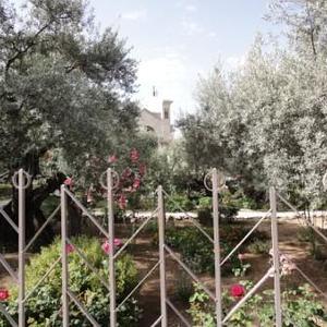 Garten Gethsemane