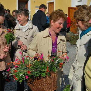 Palmsonntag in Lacken