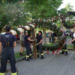 Maibaum Pfarre Maria Puchheim